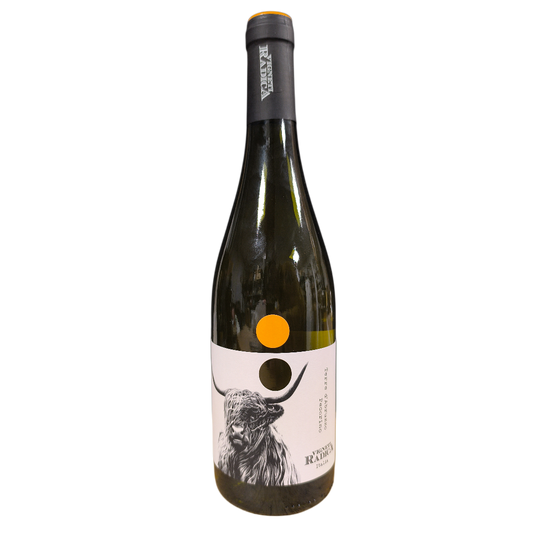 Vigneti Radica Terre d'Abruzzo Pecorino
